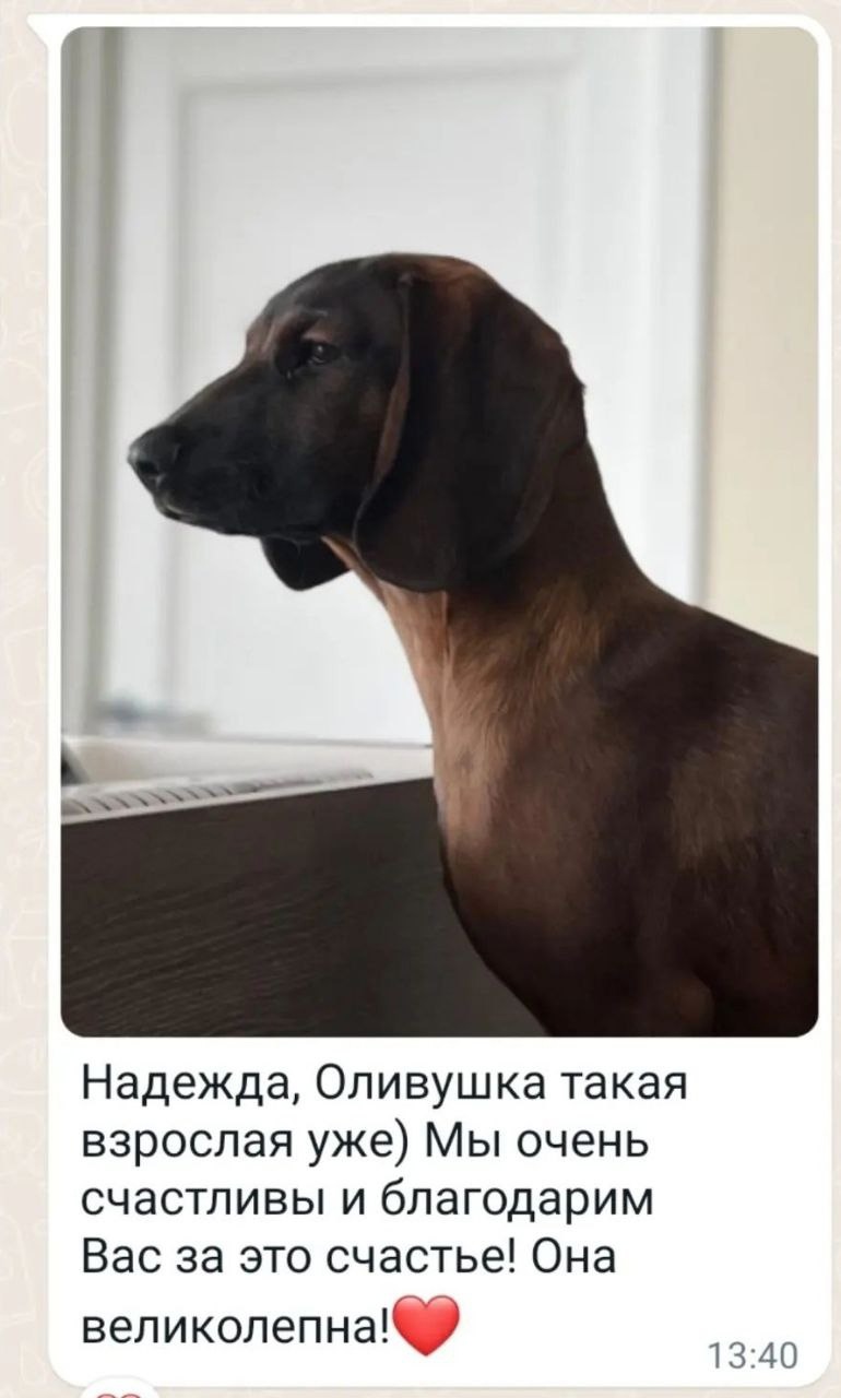 Ольга Вишневская
