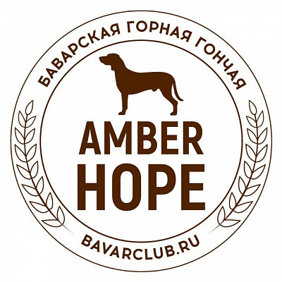 Amber Hope Alois