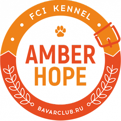 Amber Hope Moriz